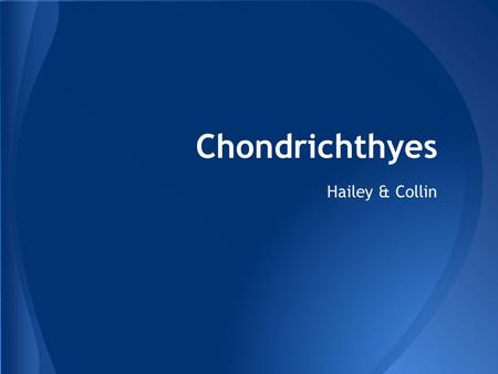 Chondrichthyes Hailey & Collin. A. Kingdom - Animalia, Phylum - Chordata, Subphylum - Vertebrata, Infraphylum - Gnathostomata, Class - Chondrichthyes.