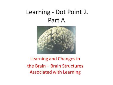 Learning - Dot Point 2. Part A. Learning and Changes in the Brain – Brain Structures Associated with Learning.