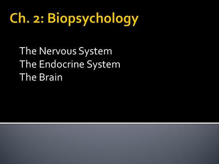 The Nervous System The Endocrine System The Brain.