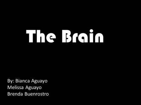 The Brain By: Bianca Aguayo Melissa Aguayo Brenda Buenrostro.