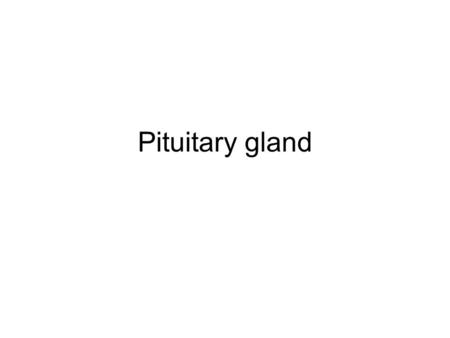 Pituitary gland. Embryonic origin –Anterior pituitary gland (adenohypophysis) Rathke’s pouch –Roof of the embryonic mouth –Glandular tissue containing.