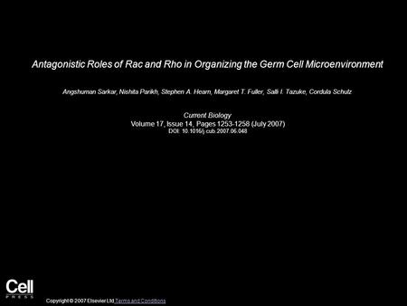 Antagonistic Roles of Rac and Rho in Organizing the Germ Cell Microenvironment Angshuman Sarkar, Nishita Parikh, Stephen A. Hearn, Margaret T. Fuller,