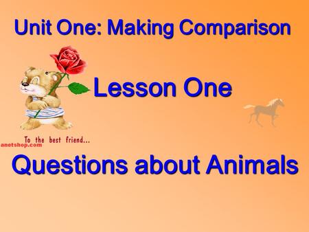 Unit One: Making Comparison Lesson One Questions about Animals.
