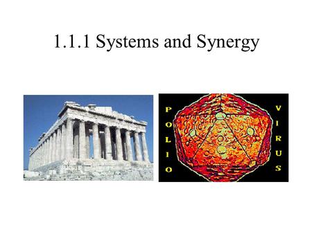1.1.1 Systems and Synergy. What do these, and the previous pictures, have in common?