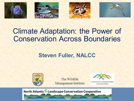 Climate Adaptation: the Power of Conservation Across Boundaries Steven Fuller, NALCC The Wildlife Management Institute.