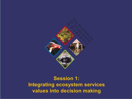 TEEB Training Session 1: Integrating ecosystem services values into decision making.