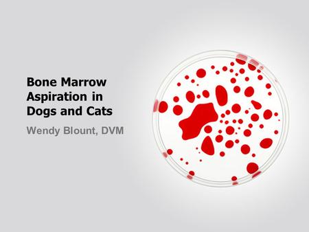Bone Marrow Aspiration in Dogs and Cats Wendy Blount, DVM.