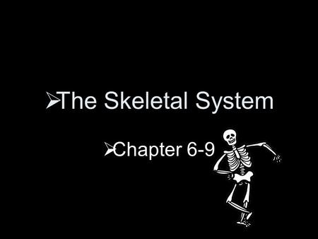  The Skeletal System  Chapter 6-9  Individual bones:  Tissues  Bone  Cartilage  Epithelial tissue  Fibrous connective tissue  Blood  Nervous.