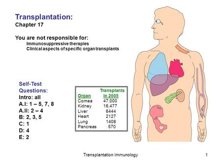 Transplantation Immunology1 Transplantation: Chapter 17 You are not responsible for: Immunosuppressive therapies Clinical aspects of specific organ transplants.