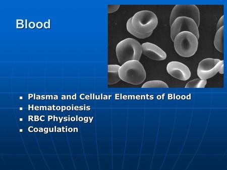 Blood Plasma and Cellular Elements of Blood Hematopoiesis