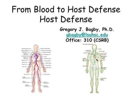 From Blood to Host Defense Host Defense Gregory J. Bagby, Ph.D. Office: 310 (CSRB)