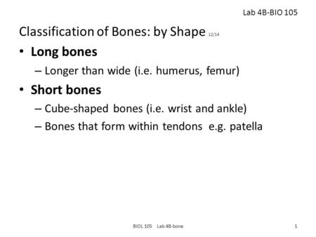 Classification of Bones: by Shape 12/14 Long bones – Longer than wide (i.e. humerus, femur) Short bones – Cube-shaped bones (i.e. wrist and ankle) – Bones.