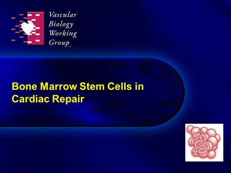 Bone Marrow Stem Cells in Cardiac Repair. 2 Dimmeler S et al. Arterioscler Thromb Vasc Biol. 2007;Oct. 19 epub. EC differentiation SMC differentiation.