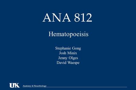 Anatomy & Neurobiology ANA 812 Hematopoeisis Stephanie Gong Josh Minix Jenny Olges David Waespe.