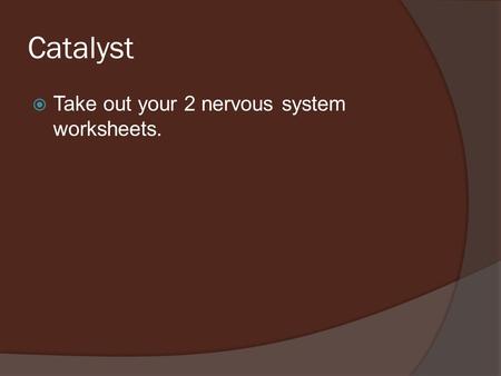 Catalyst  Take out your 2 nervous system worksheets.