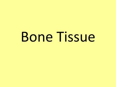 Bone Tissue. Functions of Bone Support Protection Assists in movement Mineral homeostasis—calcium & phosphorus Site of blood cell production—red bone.