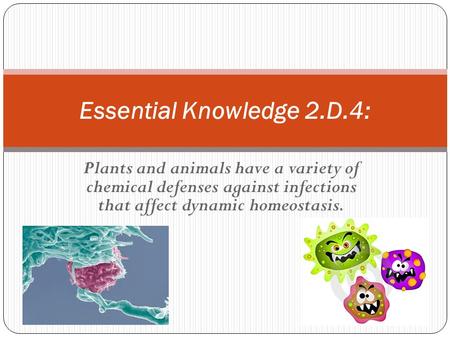 Essential Knowledge 2.D.4: