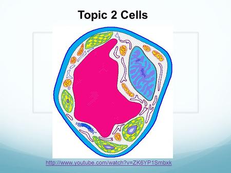 Topic 2 Cells http://www.youtube.com/watch?v=ZK6YP1Smbxk.