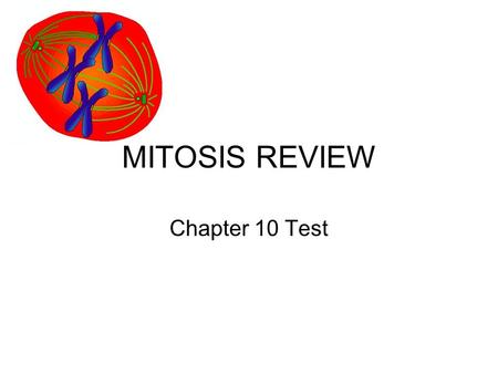 MITOSIS REVIEW Chapter 10 Test. ESSAY #1 How is cancer related to the cell cycle? Do not have a normally functioning cell cycle.