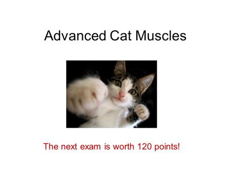 The next exam is worth 120 points!
