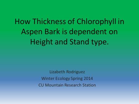 How Thickness of Chlorophyll in Aspen Bark is dependent on Height and Stand type. Lizabeth Rodriguez Winter Ecology Spring 2014 CU Mountain Research Station.