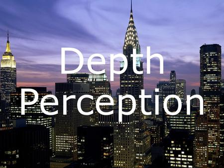 Depth Perception. Depth perception is the ability to see things in a 3-Dimensional way and to judge distance. We use depth cues to gather information.