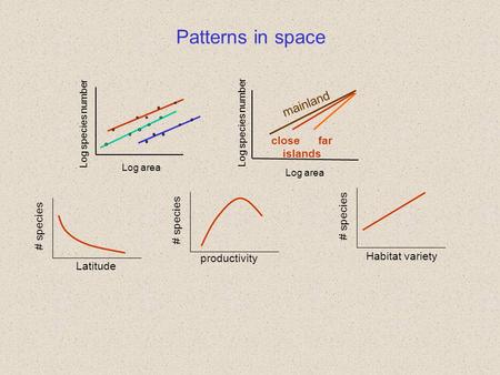 Patterns in space Log area Log species number productivity # species Habitat variety # species Latitude # species mainland Log area Log species number.