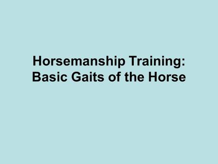 Horsemanship Training: Basic Gaits of the Horse