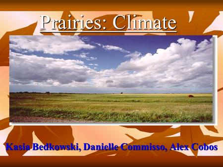 Prairies: Climate Kasia Bedkowski, Danielle Commisso, Alex Cobos.