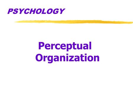 Organizing perception