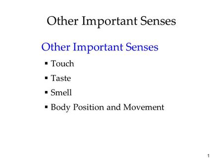 1 Other Important Senses  Touch  Taste  Smell  Body Position and Movement.