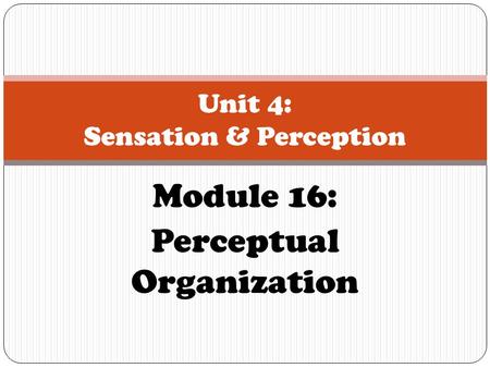 Unit 4: Sensation & Perception