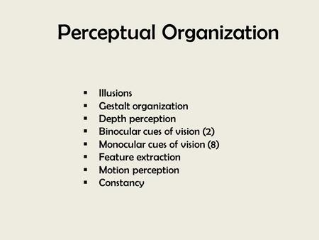 Perceptual Organization