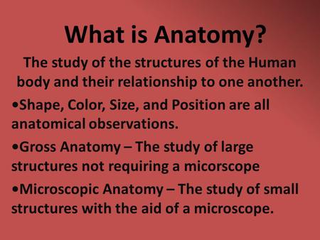 What is Anatomy? The study of the structures of the Human body and their relationship to one another. Shape, Color, Size, and Position are all anatomical.