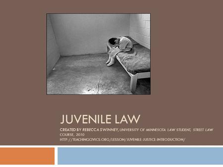 JUVENILE LAW CREATED BY REBECCA SWINNEY, UNIVERSITY OF MINNESOTA LAW STUDENT, STREET LAW COURSE, 2010