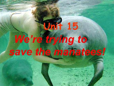 Unit 15 We’re trying to save the manatees! Name Description spotted fast aggressive What is the animal? What is it like?