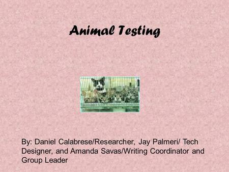 Animal Testing By: Daniel Calabrese/Researcher, Jay Palmeri/ Tech Designer, and Amanda Savas/Writing Coordinator and Group Leader.