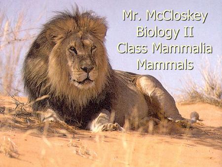 Mr. McCloskey Biology II Class Mammalia Mammals. Threatened and Endangered Species of PA www.pgc.state.pa.us/pgc/cwp/view.asp?a=45 8&q=150321 www.pgc.state.pa.us/pgc/cwp/view.asp?a=45.