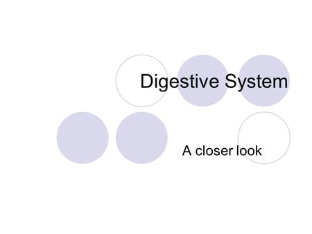 Digestive System A closer look.