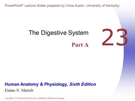 The Digestive System Part A