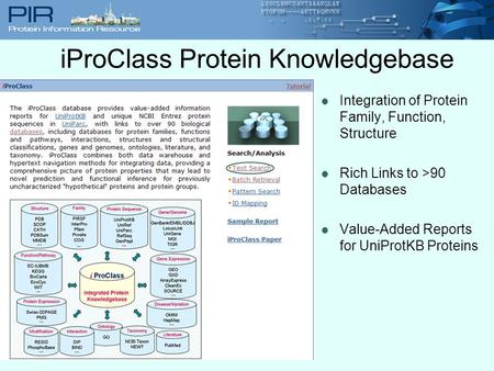 Integration of Protein Family, Function, Structure Rich Links to >90 Databases Value-Added Reports for UniProtKB Proteins iProClass Protein Knowledgebase.