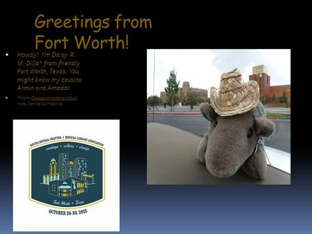 Greetings from Fort Worth!  Howdy! I’m Daisy R. M. Dillo* from friendly Fort Worth, Texas. You might know my cousins Armin and Amador.  *from (Dasypus.