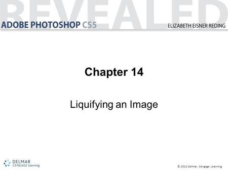 © 2011 Delmar, Cengage Learning Chapter 14 Liquifying an Image.