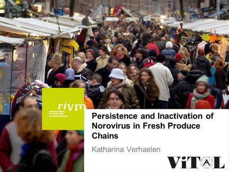 National Institute for Public Health and the Environment Persistence and Inactivation of Norovirus in Fresh Produce Chains Katharina Verhaelen.