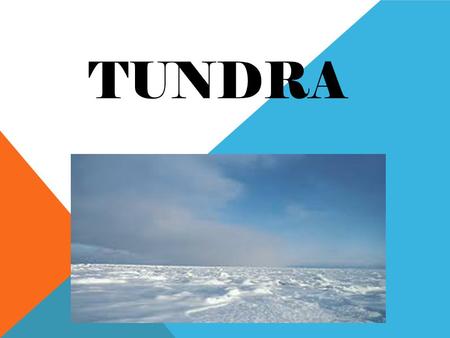 TUNDRA. DRAWING OF THE TUNDRA’S RESIDENTS. LOCATED AROUND THE NORTH POLE.