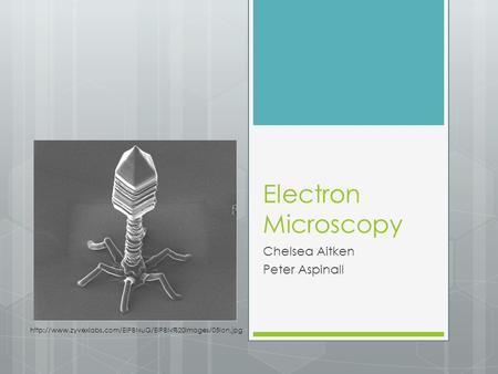 Electron Microscopy Chelsea Aitken Peter Aspinall