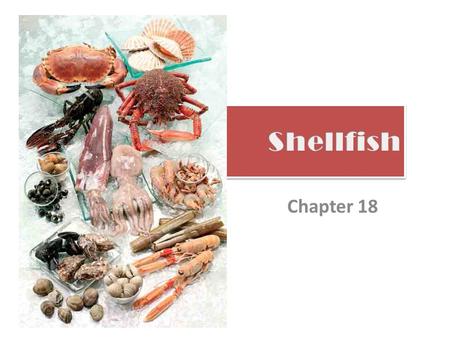 Chapter 18. Univalves Single shell – Marine snails Abalone: harvested in California (cannot can or ship out of state.) Frozen from Mexico or Canned from.