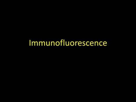 Immunofluorescence.