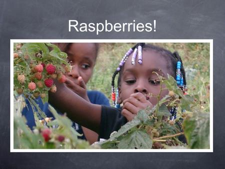 Raspberries!.
