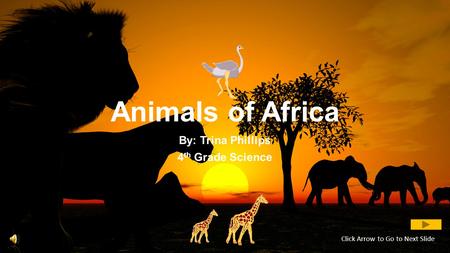 Animals of Africa By: Trina Phillips 4 th Grade Science Click Arrow to Go to Next Slide.